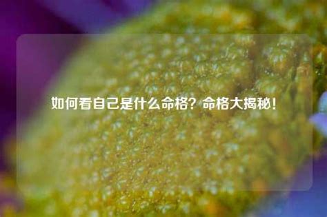 如何看自己是什么命|怎么看自己是什么命